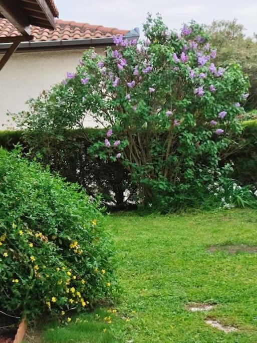 Maison Medicis - T5 Spacieuse Et Calme En - Emplacement Ideal
